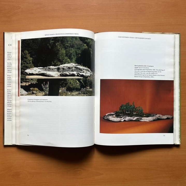 Bonsai Design: Deciduous and Coniferous Trees - Peter D. Adams - Image 8