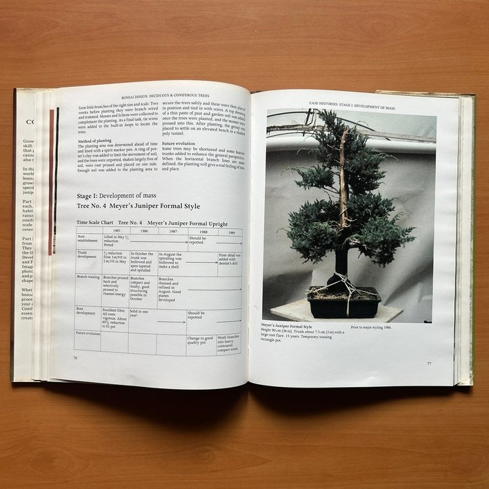 Bonsai Design: Deciduous and Coniferous Trees - Peter D. Adams - Image 9