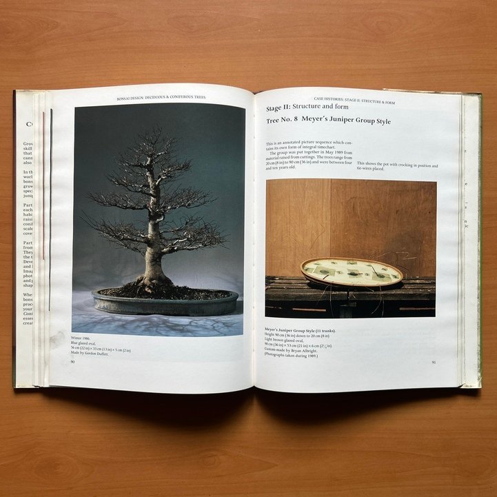 Bonsai Design: Deciduous and Coniferous Trees - Peter D. Adams - Image 11