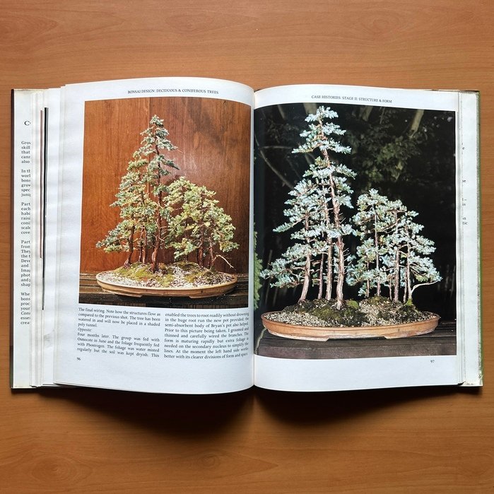 Bonsai Design: Deciduous and Coniferous Trees - Peter D. Adams - Image 12