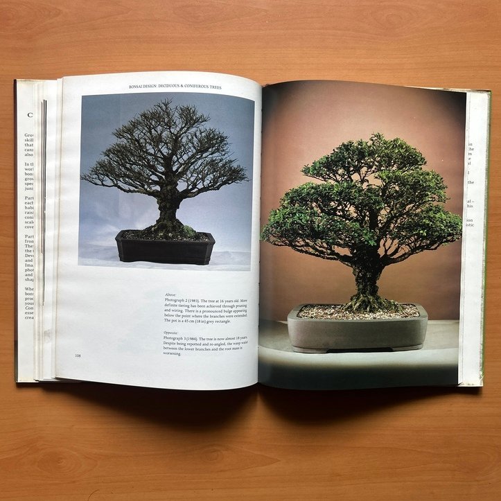 Bonsai Design: Deciduous and Coniferous Trees - Peter D. Adams - Image 13