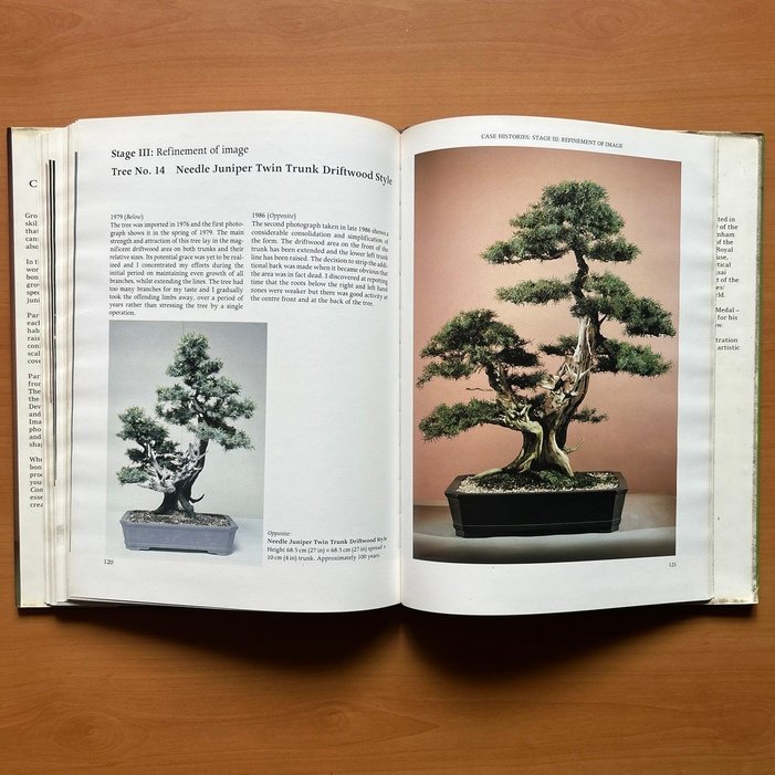 Bonsai Design: Deciduous and Coniferous Trees - Peter D. Adams - Image 14