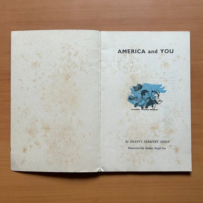 America and You - Shanta Serbjeet Singh - Image 3