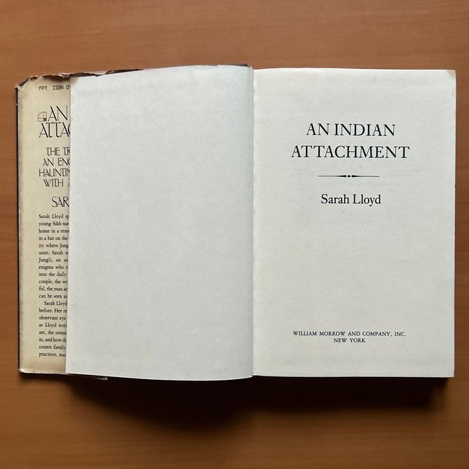 An Indian Attachment - Sarah Lloyd - Image 3