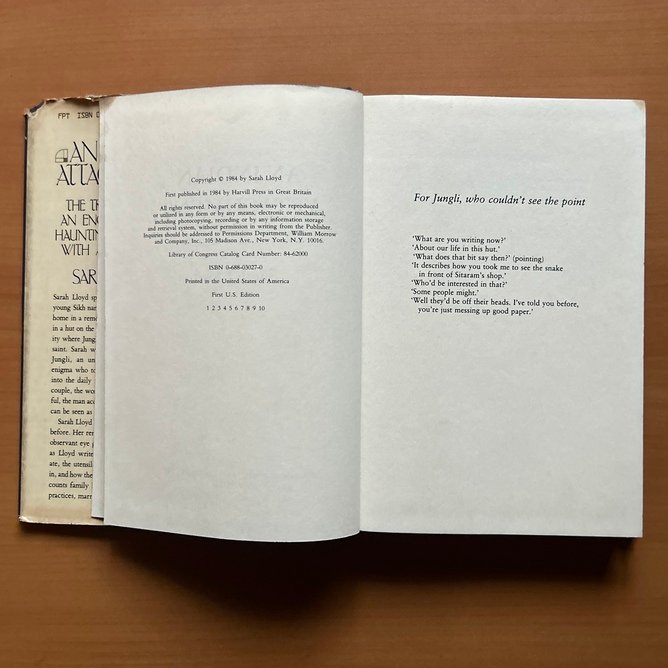 An Indian Attachment - Sarah Lloyd - Image 4