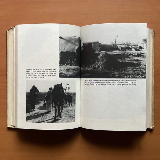 An Indian Attachment - Sarah Lloyd - Image 8