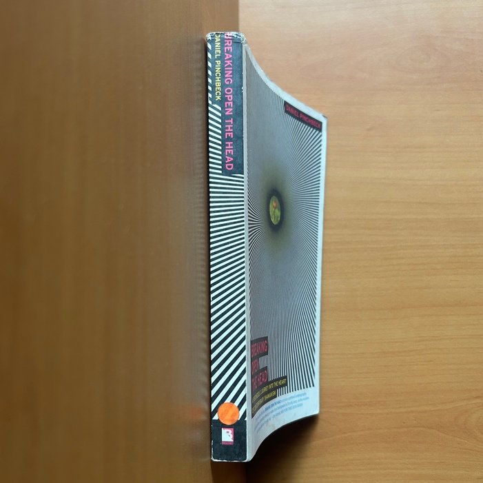 Breaking Open the Head - Daniel Pinchbeck - Image 2