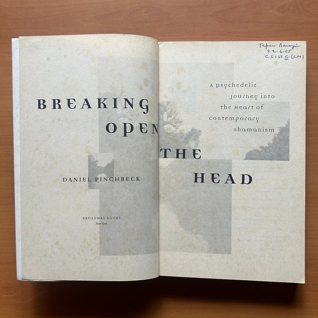 Breaking Open the Head - Daniel Pinchbeck - Image 3