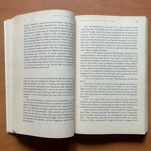 Breaking Open the Head - Daniel Pinchbeck - Image 7