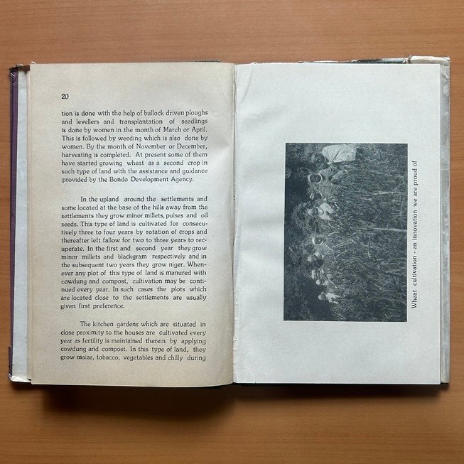 The Bondo - Dr. N. Patnaik - Image 6