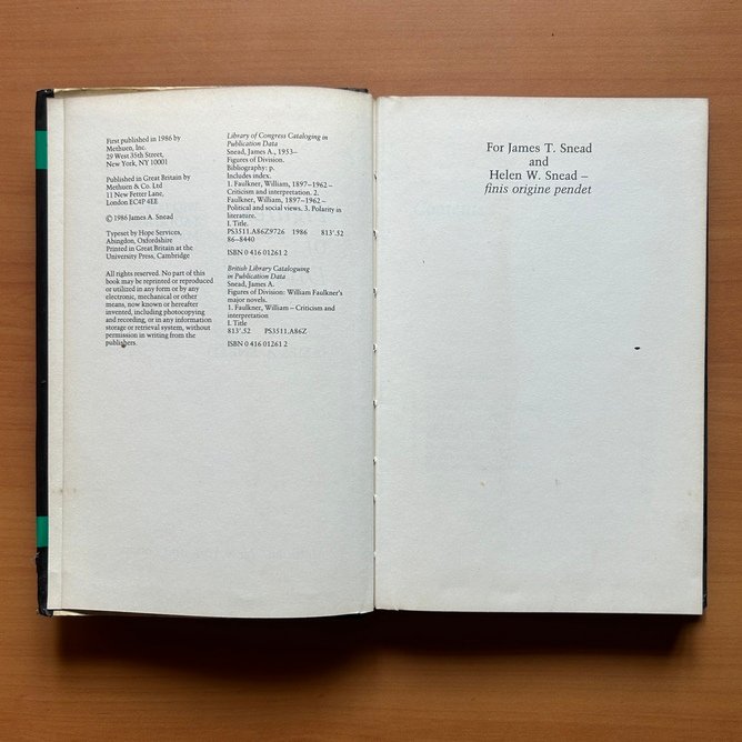 Figures of Division - James A. Snead - Image 3