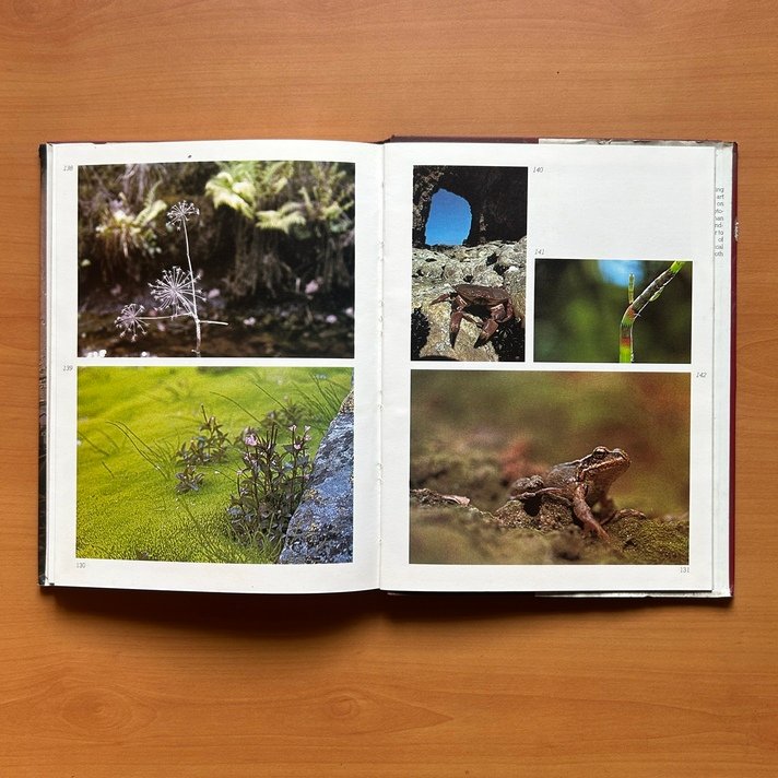 Creative Camera Techniques - Axel Brück - Image 11