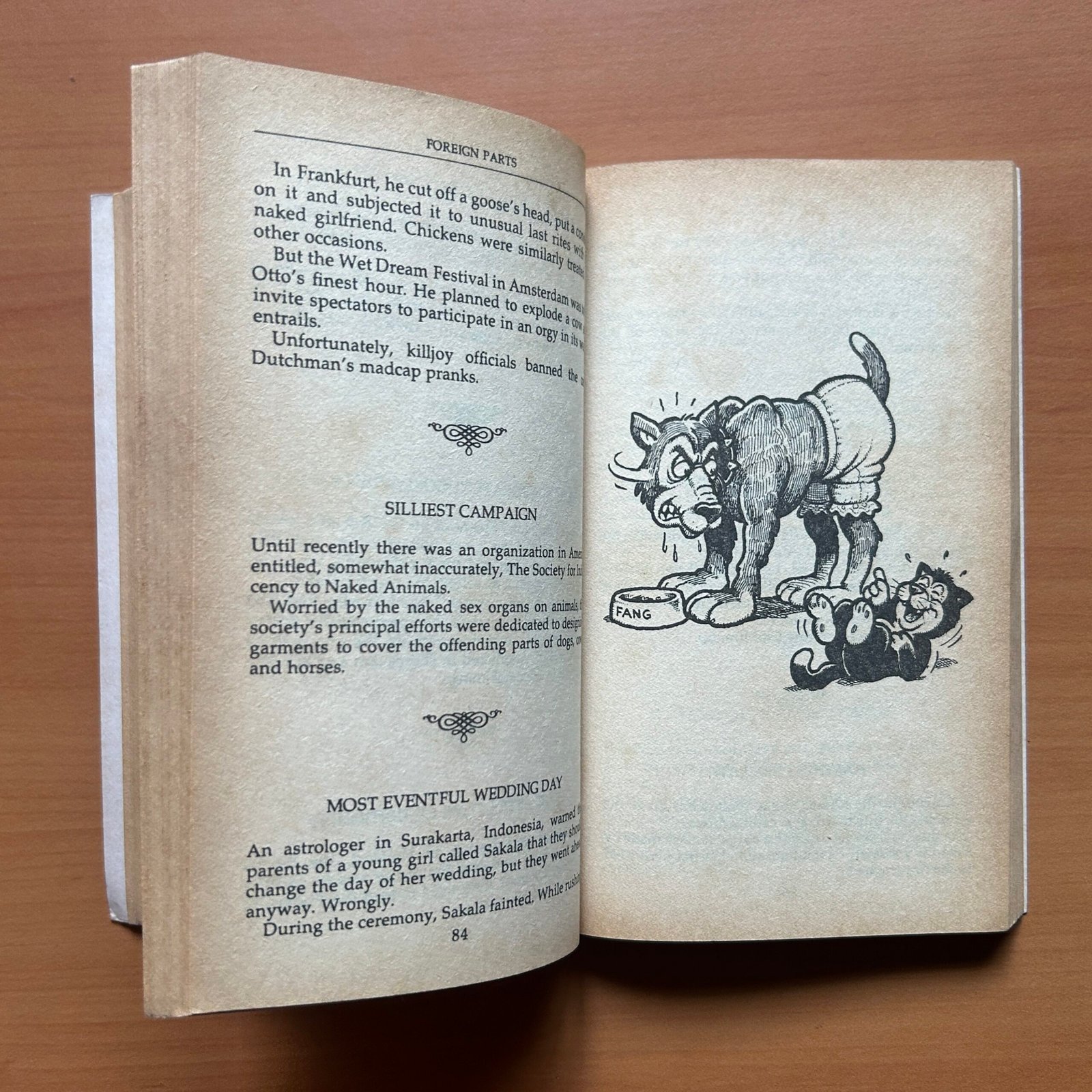 The Book of Erotic Failures - Peter Kinnell - Image 7
