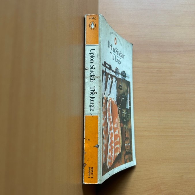 The Jungle - Upton Sinclair - Image 2