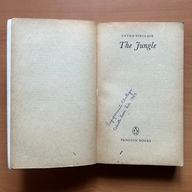 The Jungle - Upton Sinclair - Image 3