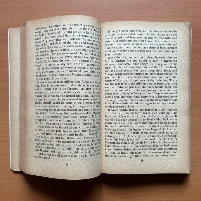 The Jungle - Upton Sinclair - Image 5