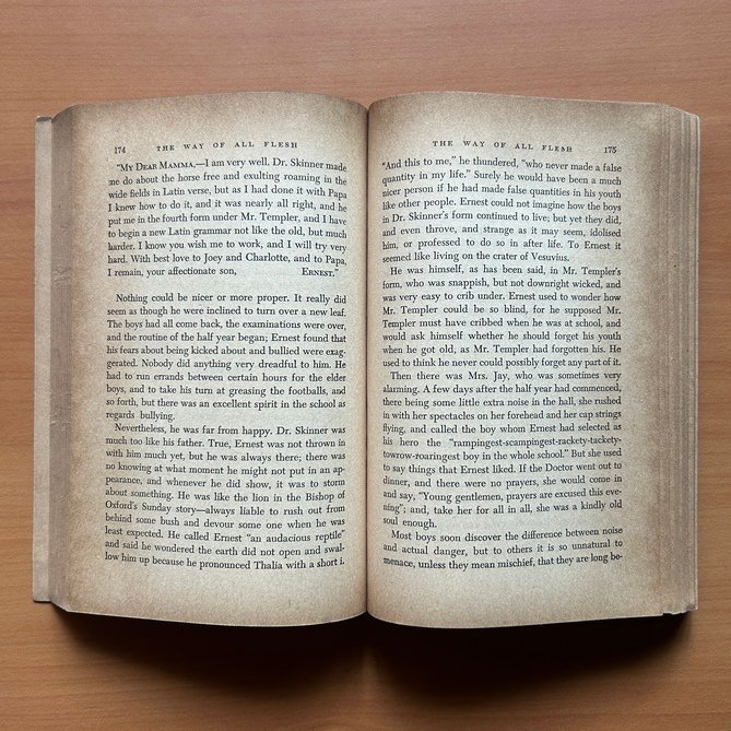 The Way of All Flesh - Samuel Butler - Image 5